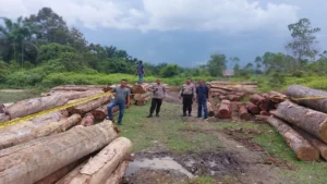 Pemberantasan Perdagangan Kayu Ilegal dan Perlindungan Hutan di Riau