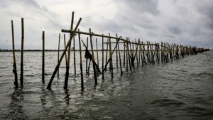 Alasan Pemerintah Belum Bisa Bongkar Pagar Laut di Tangerang